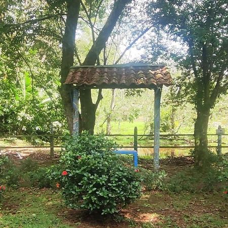 Hotel Maguey Tigre  Εξωτερικό φωτογραφία