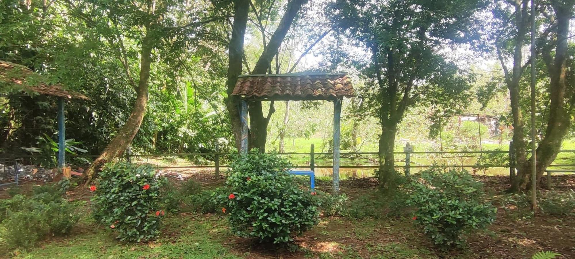 Hotel Maguey Tigre  Εξωτερικό φωτογραφία